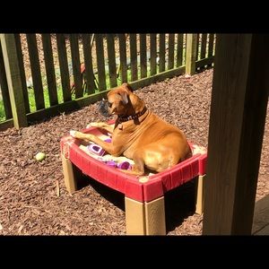 Meet your Posher, Samantha